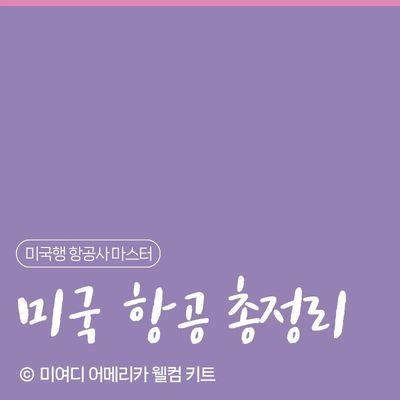 미국행 항공편 총정리