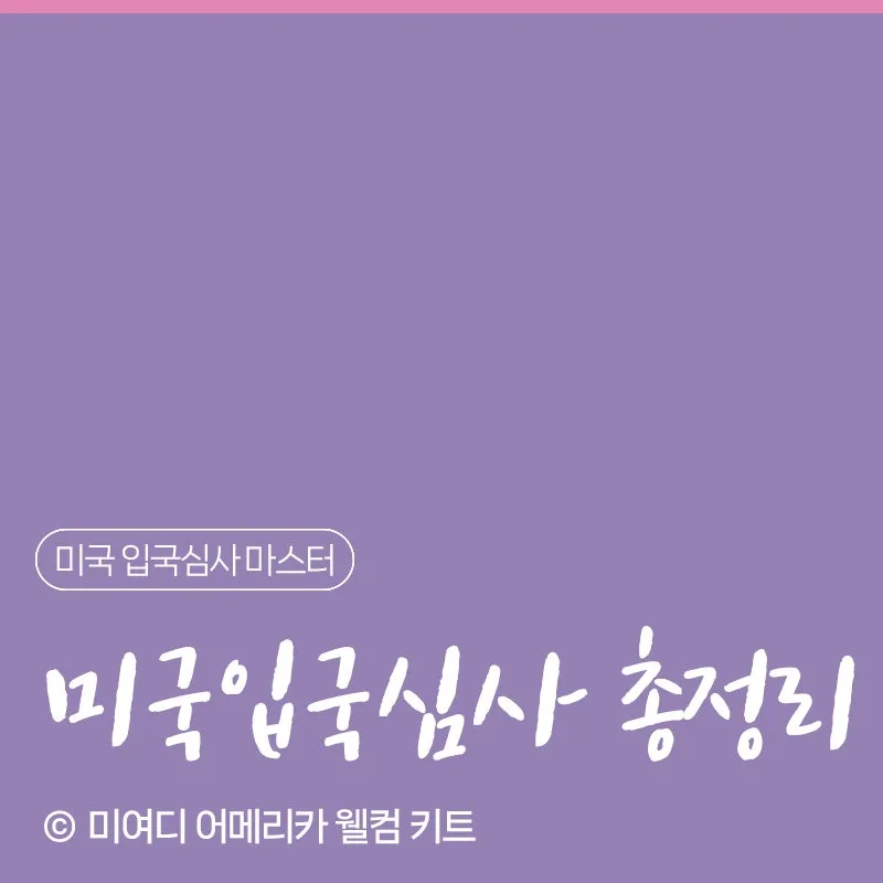미국 입국심사 총정리