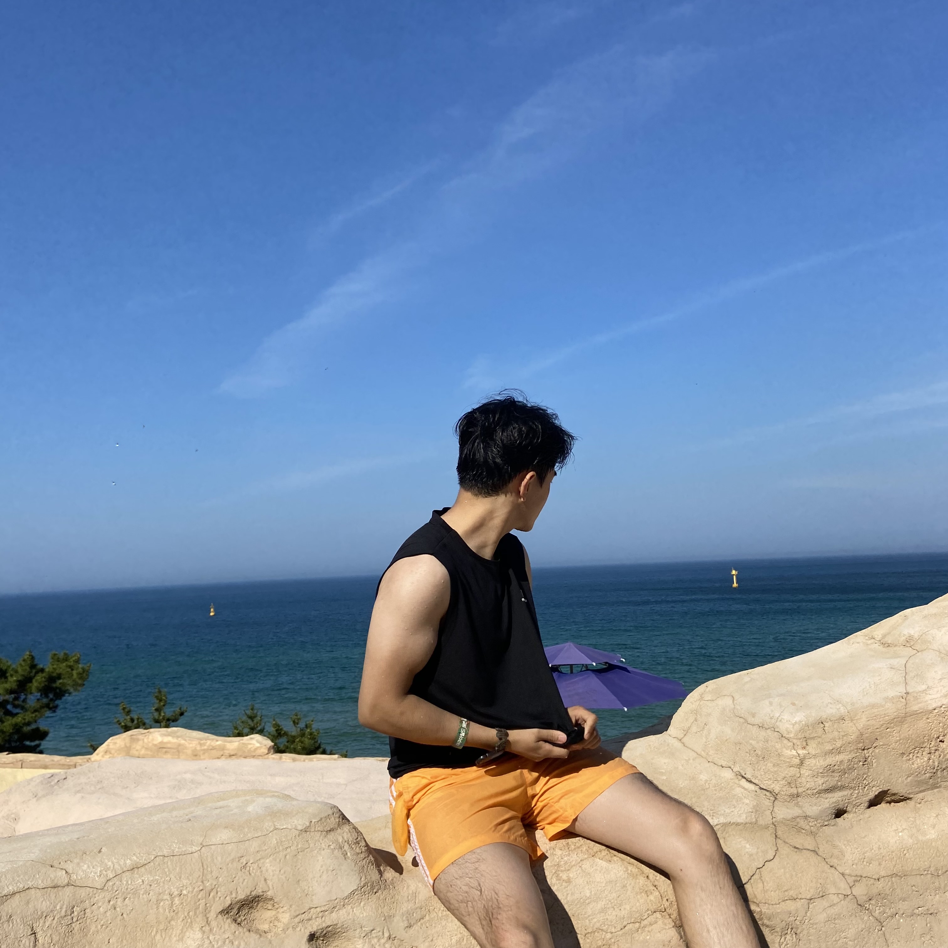 La 택시등 교통