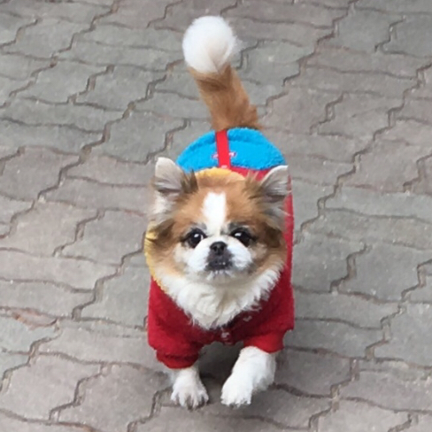 보스톤 숙박