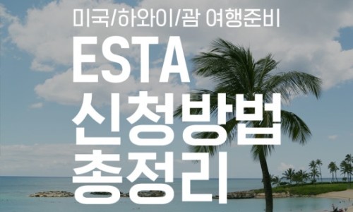 크게는 미국 작게는 뉴욕. 여행 준비하기 + 소소한 팁 정리. 