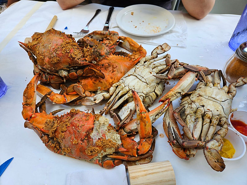 렌터카로 돌아본 워싱턴 나이가라라 폴스 보스턴  후기
